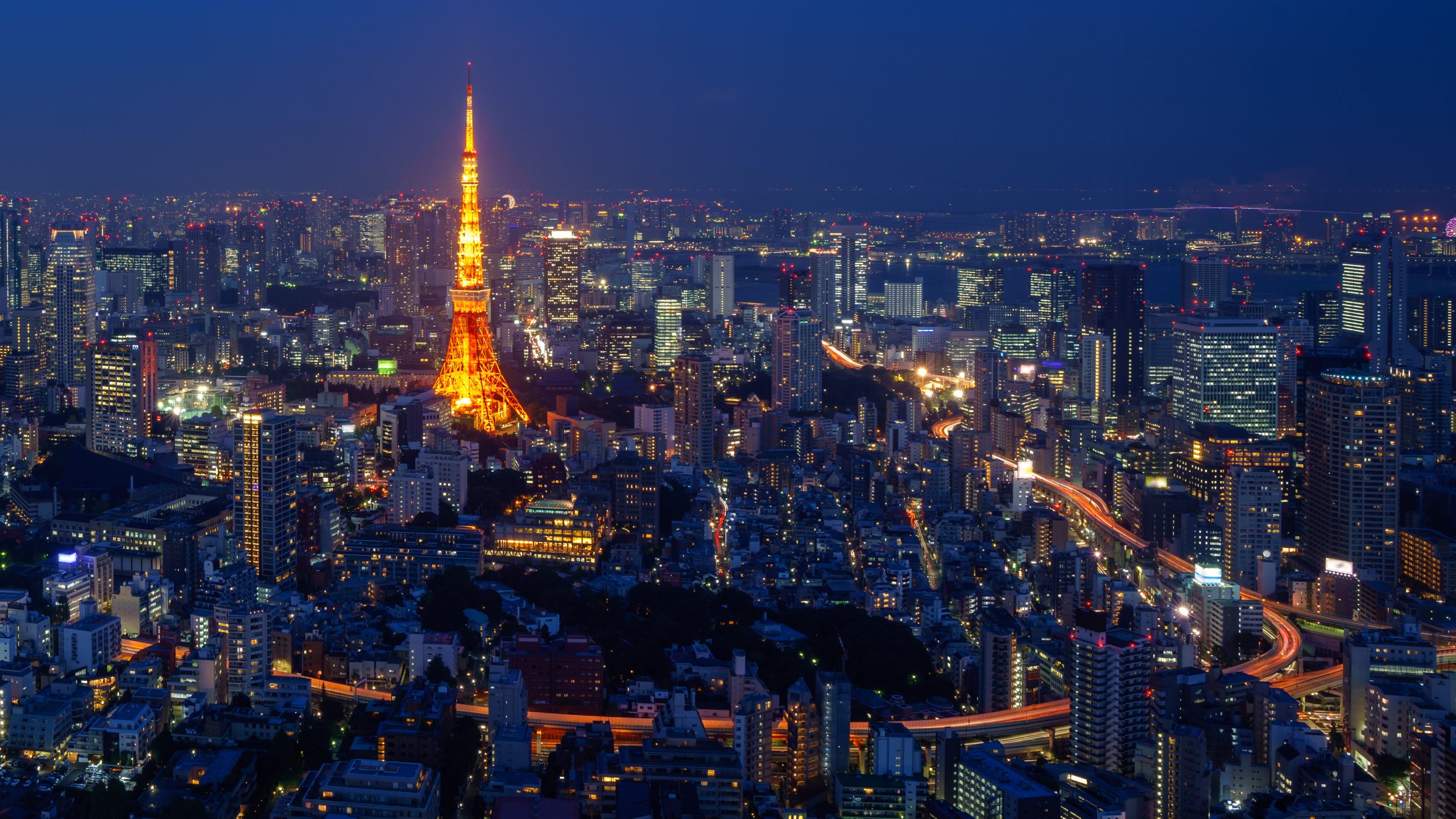 Tokyo city at night, Japan (Top view)